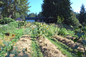 Kost Farm