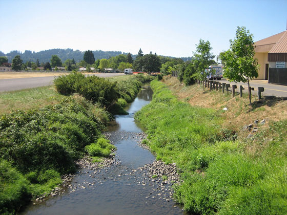 Amazon Creek
