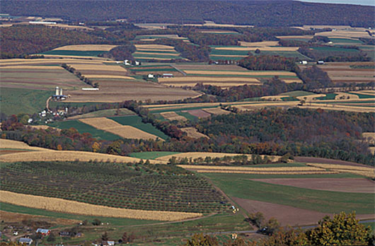 Arable Land