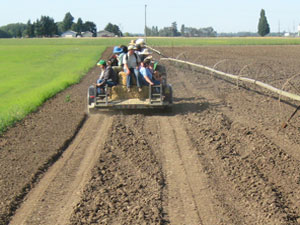 Hayride at Hunton Family Farm