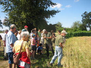 Beetle Bank