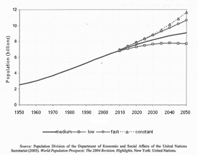 Population Graph