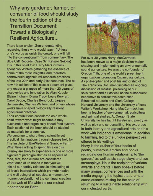 Transition Document
