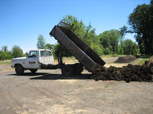 Dumping load of manure