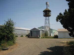 Windmill at Stalford Seed Farms