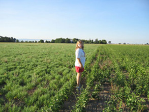 Willow Coberly in Bean Field